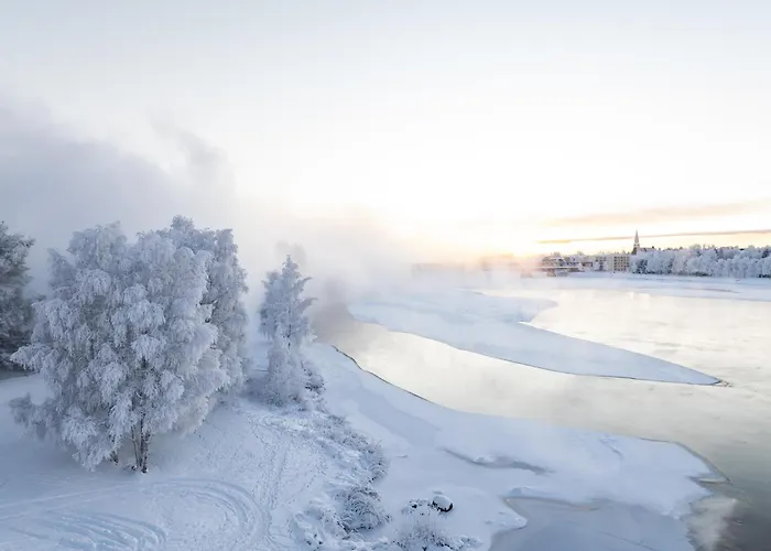 Daire Top-floor Nordic With Sauna - Lapnest